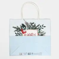 Пакет подарочный крафтовый &laquo;Рябина&raquo;, 25 х 22 х 12 см