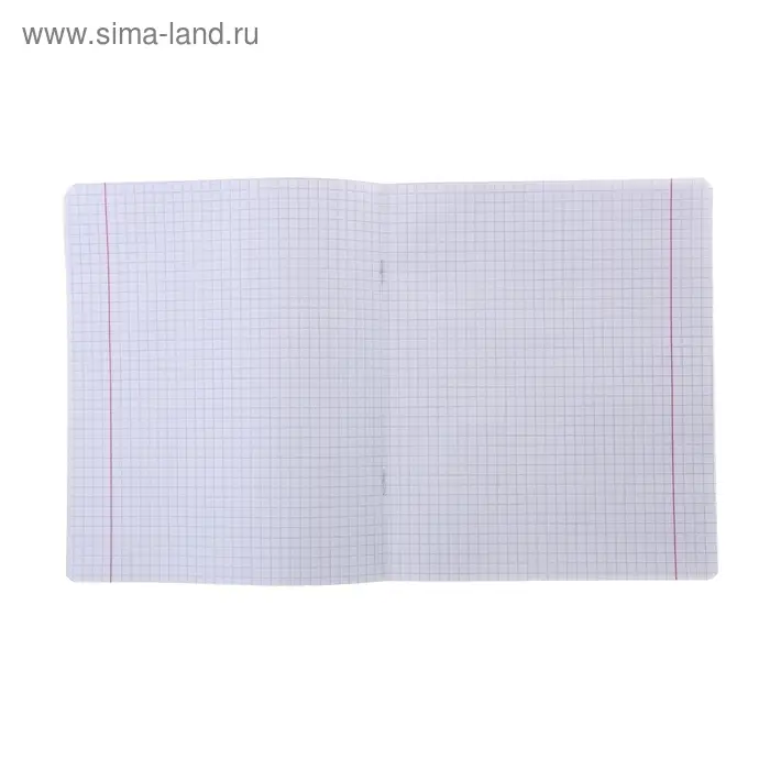 Тетрадь 24 листа клетка &laquo;Великолепная пятёрка&raquo;, бумажная обложка, МИКС