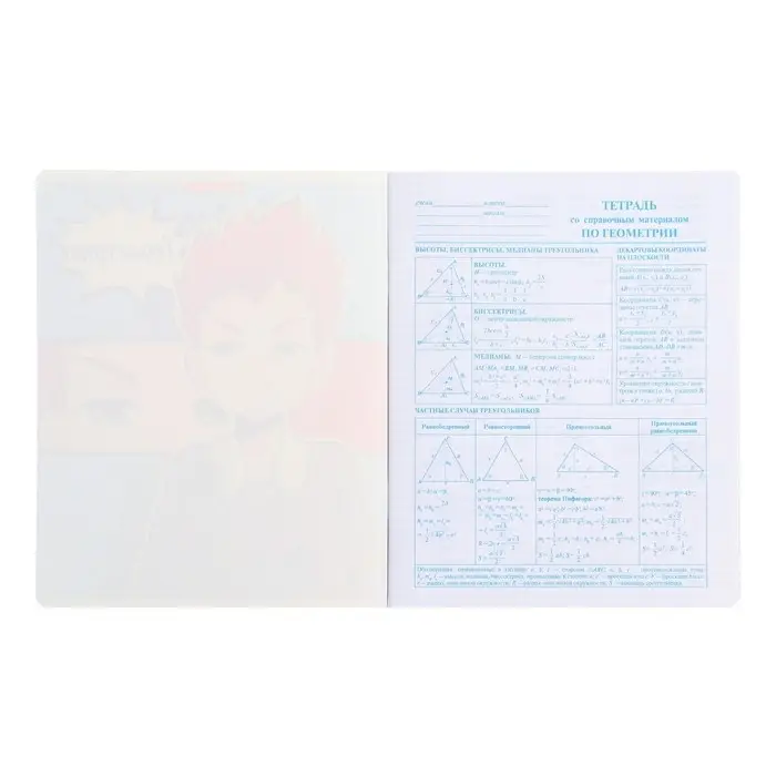 Тетрадь предметная 48 листов в клетку &laquo;Аниме. Геометрия&raquo;, обложка мелованный картон, УФ-лак, блок офсет