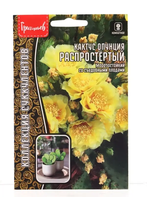 Семена цветов Кактус Распростёртый опунция 4 шт. / НОВИНКА  12.29 г.