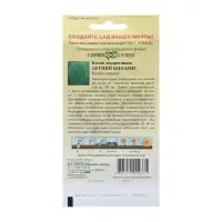 Семена цветов Кохия веничная "Летний кипарис", ц/п,  0,3 г