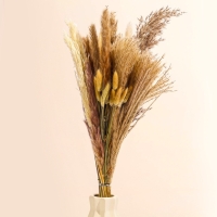 Букет из сухоцветов &laquo;Изящность&raquo;, высота 47 см