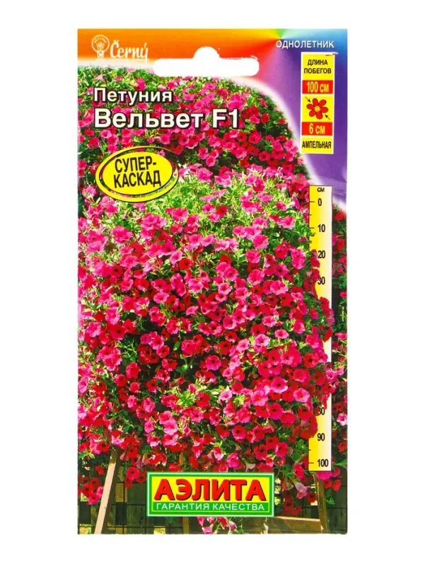 Семена цветов Петуния Вельвет F1 ампельная  (драже в пробирке) С. Cerny, Ц/П,4 шт.