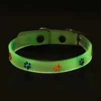 Ошейник, светящийся в темноте, "Яркие следы" (люминесцентный), 30 х 1 см, фиолетово-жёлтый