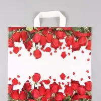 Пакет "Гран При", полиэтиленовый с петлевой ручкой, 38 х 34 + 3 см, 70 мкм