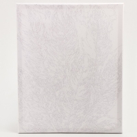 Картина по номерам на холсте с подрамником с золотой краской &laquo;Перья&raquo;, 40 х 50 см