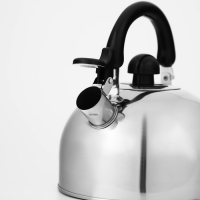 Чайник со свистком из нержавеющей стали Доляна &laquo;Чёрная ночь&raquo;, 3 л, фиксированная ручка, цвет хромированный