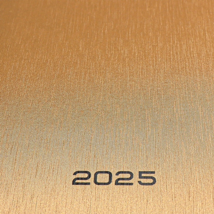 Ежедневник датированный 2024 года, А5, 176 листов, Attomex.Regent, обложка бумвинил, ляссе, блок 70 г/м2, золотой