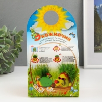 Растущий подарок травка Экоживчик "Тигр"