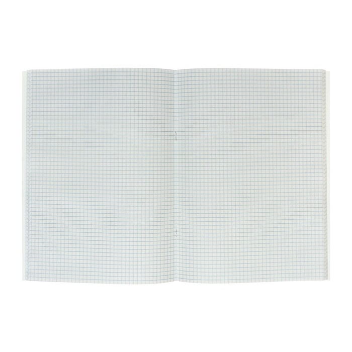 Книга учета А4, 96 листов в клетку, картонная обложка, синяя