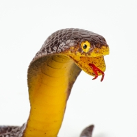 Новый год! Резиновая игрушка &laquo;Королевская кобра&raquo;