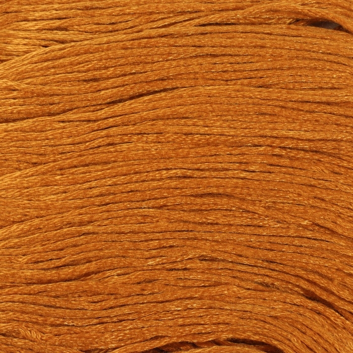 Набор ниток мулине №976, 8 &plusmn; 1 м, 6 шт, цвет золотисто-коричневый