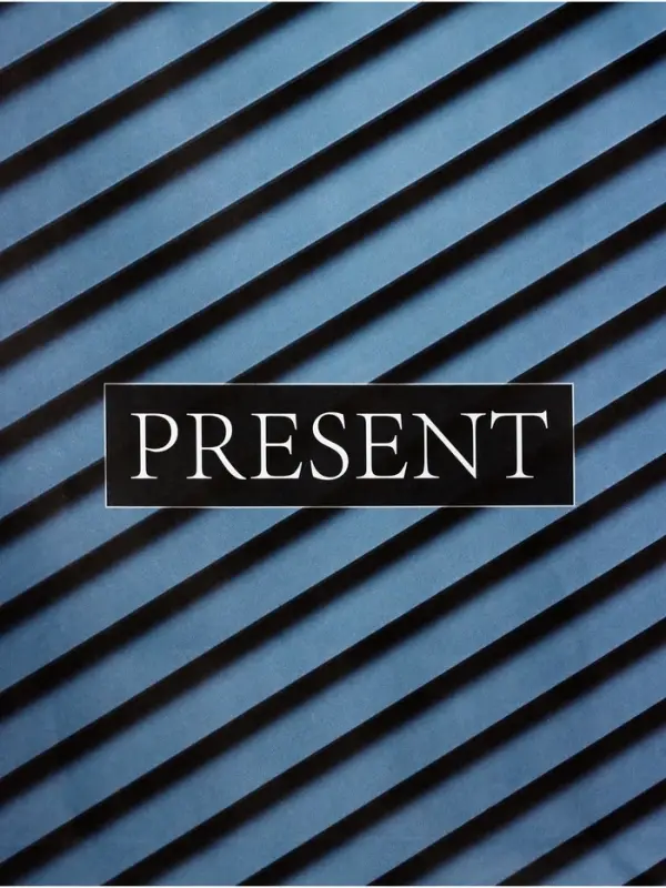 Пакет подарочный крафт Present, 18&times;8&times;25 см