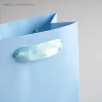 Пакет подарочный, упаковка &laquo;Голубой&raquo;, 12&times;15&times;5.5 см