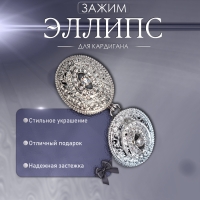 Зажим для кардигана &laquo;Эллипс&raquo;, цвет белый в серебре