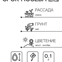 Семена  цветов Астра "Махровые мячи", смесь окрасок, О, 0,1 г