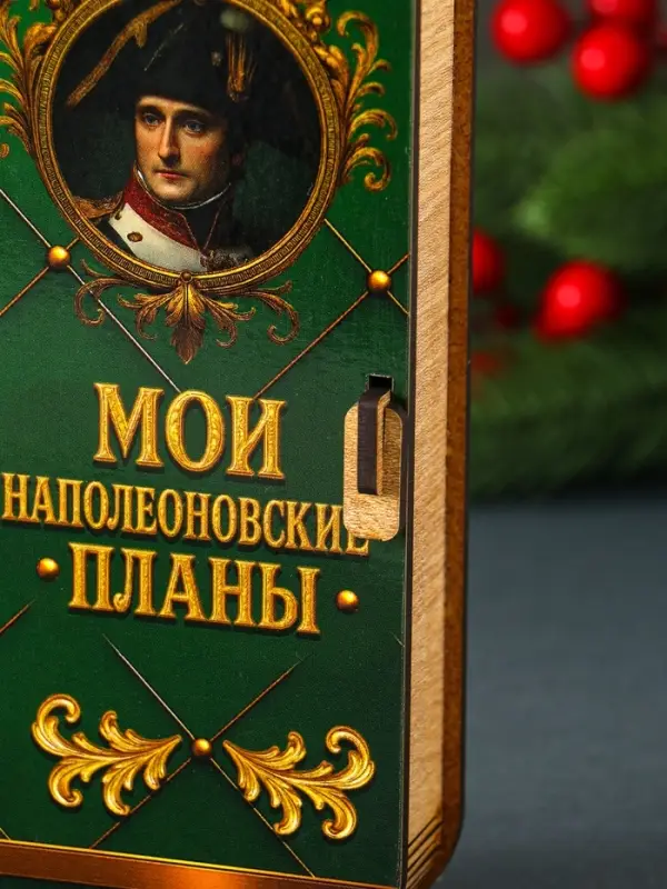 Купюрница "Мои наполеоновские планы" 17х8,5 см
