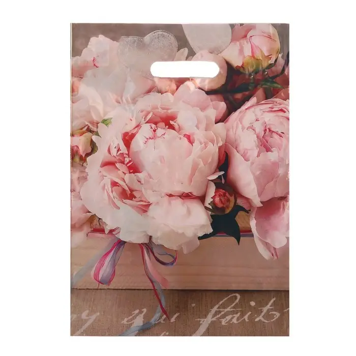 Пакет &laquo;Бенефис&raquo;, полиэтиленовый с вырубной ручкой 29&times;40 см, 35 мкм