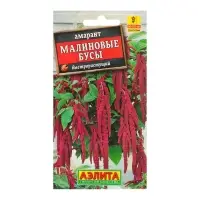 Набор семян Амарант "Малиновые бусы", О, 5 шт.