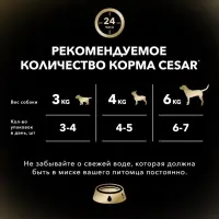 Влажный корм Cesar для собак, курица/зеленые овощами, пауч,  85 г