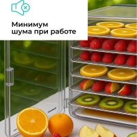 Сушилка для овощей и фруктов, дегидратор T-PFD42131