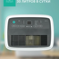 Осушитель воздуха T-DH30-P41E