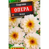 Семена цветов Георгина Опера белая , Ц/П,7 шт.