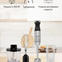 Блендер погружной HYB-H3824 800Вт серебристый