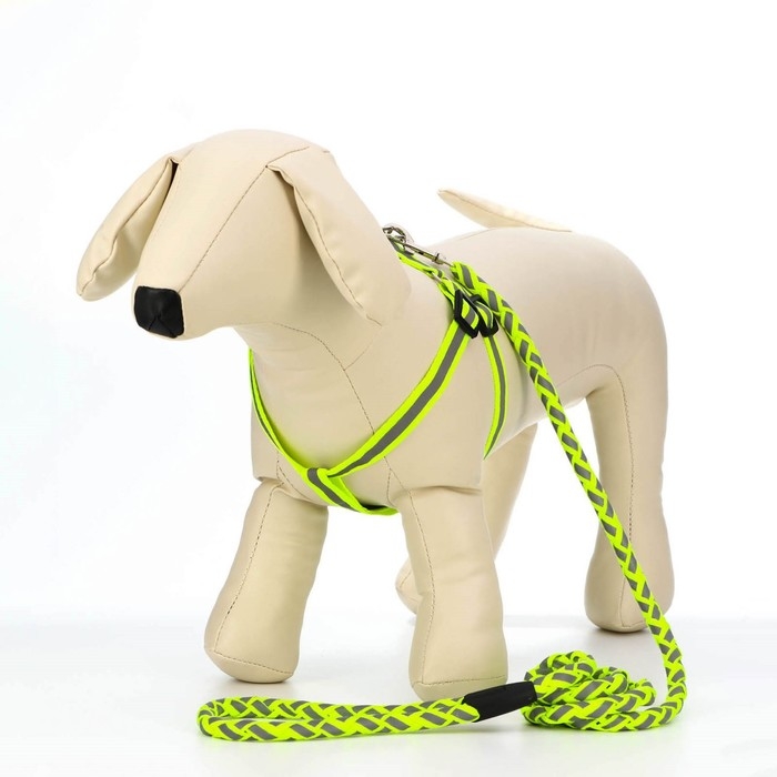 Комплект "Плетенка", флуоресцентный, шлейка 32-48 см, поводок 115 х 1 см, зелёный