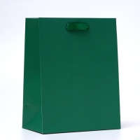 Пакет ламинированный &laquo;Зелёный&raquo;, 18 х 23 х 10 см МИКС