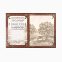 Родословная книга &laquo;Древо&raquo;, 56 листов, 16,5 х 24 см.