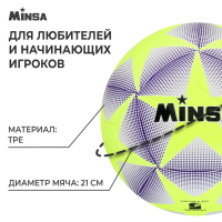 Футбольный мяч MINSA, машинная сшивка, 12 панелей, р. 5, TPE