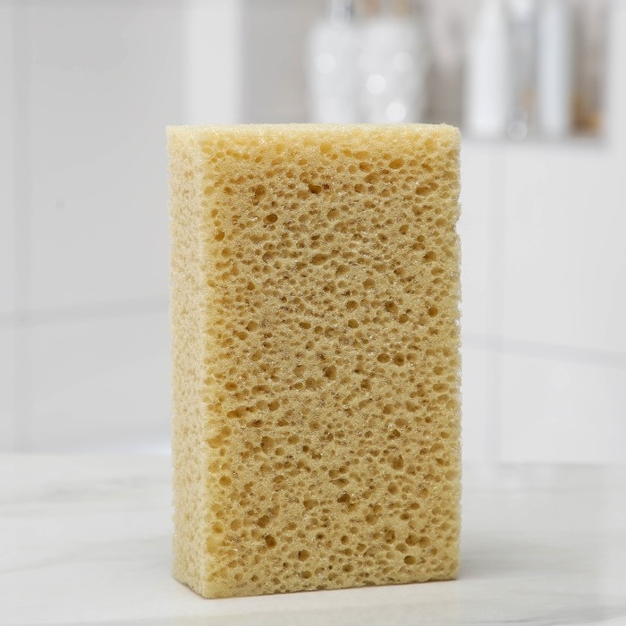 Губка для тела мягкая &laquo;Губка морская&raquo;, 20&times;11,5&times;5 см