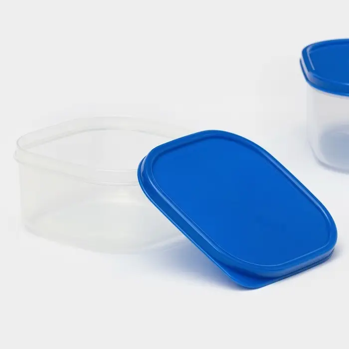 Набор контейнеров пищевых Доляна, квадратных, 2 шт: 450 мл, 700 мл, цвет голубой