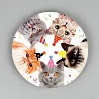 Тарелка Котики фотографичные 17см 6шт/G