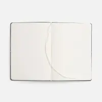 Ежедневник Kuka, недатированный, светло-зеленый