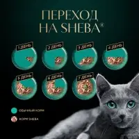 Влажный корм Sheba для кошек, кролик в желе, пауч, 75 г