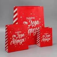 Набор новогодних пакетов &laquo;Новогодний подарок&raquo;