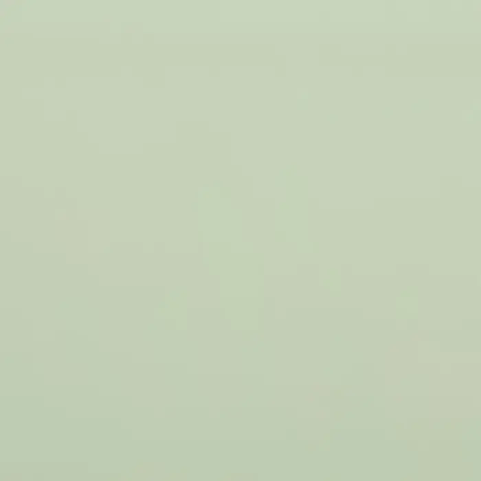 Пленка для цветов матовая, &laquo;Пожелания&raquo;, 58&times;58 см, зелёный