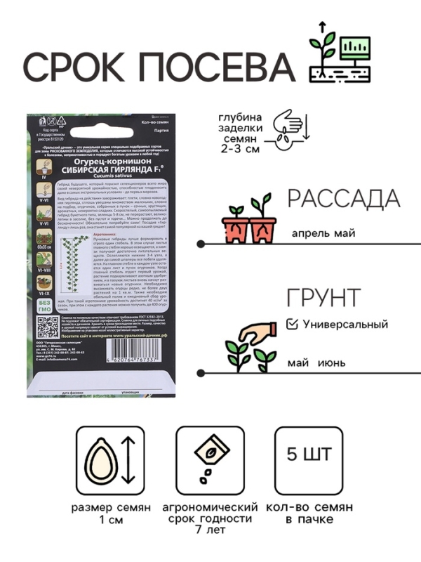 Семена Огурец "Сибирская Гирлянда" F1 скороспелый, партенокарпический, 5 шт