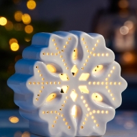 Светодиодная фигура "Снежинка большая" 11х5х11, 1 LED, LR44x3(в компл.), Т/БЕЛЫЙ