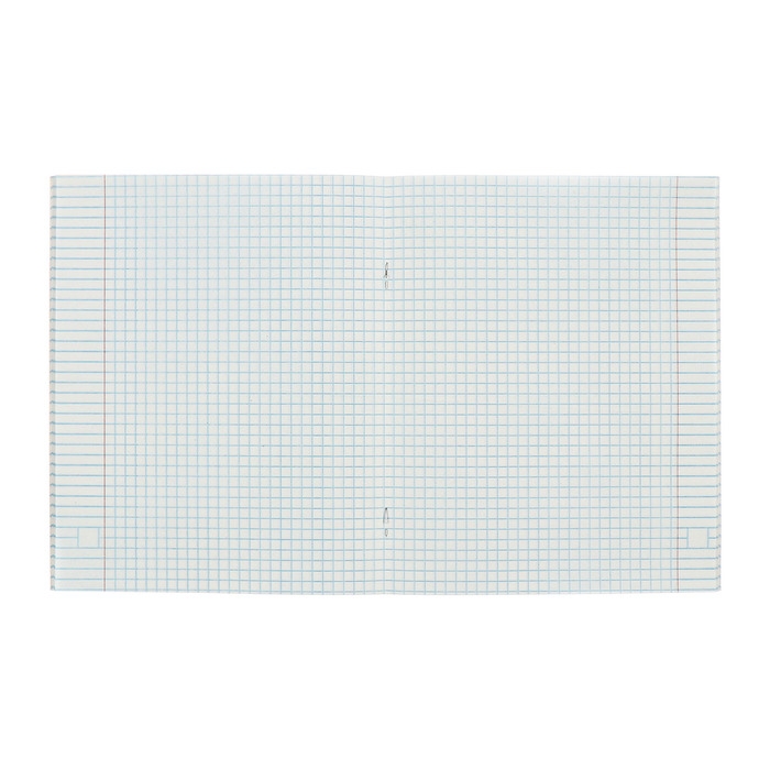 Комплект тетрадей из 5 штук, 48 листов в клетку Calligrata "Дерзкий енот", обложка мелованный картон, блок офсет