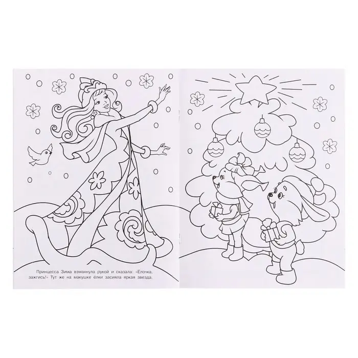 Раскраска &laquo;Принцесса Зима&raquo;, 16 стр.