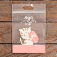 Пакет подарочный, с zip-lock застежкой, 15&times;23 см