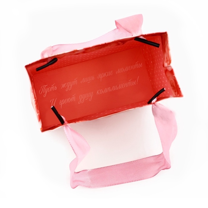 Пакет ламинированный двухсторонний &laquo;Пионы&raquo;, с тишью и открыткой, S, 12 х 15 х 5.5