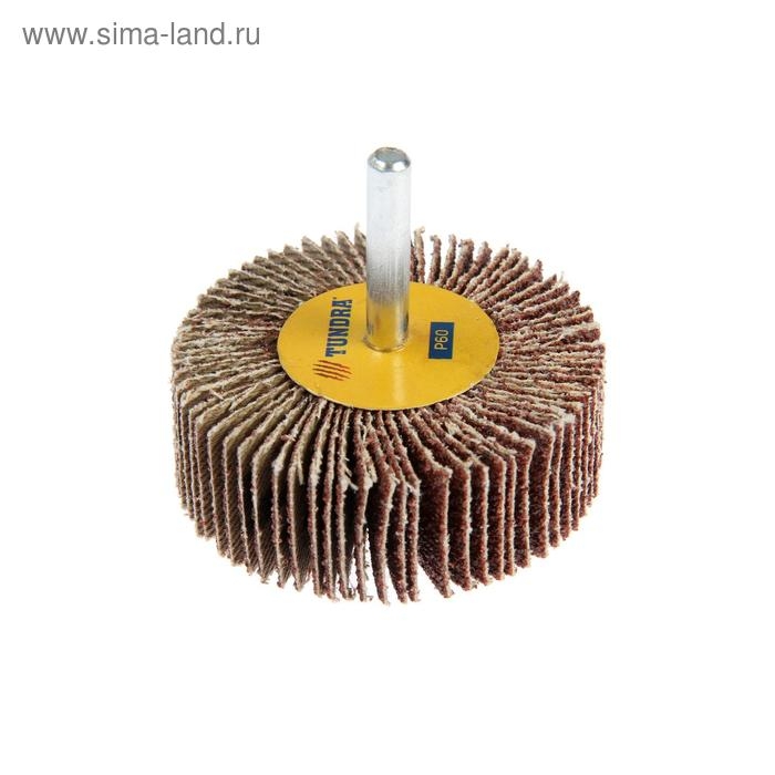 Круг лепестковый радиальный ТУНДРА, 60 х 20 х 6 мм, Р60