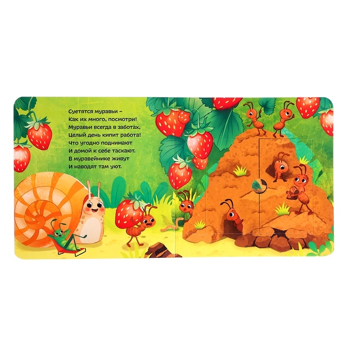 Картонные книги с окошками &laquo;Что внутри?&raquo;, набор 3 шт. по 12 стр.