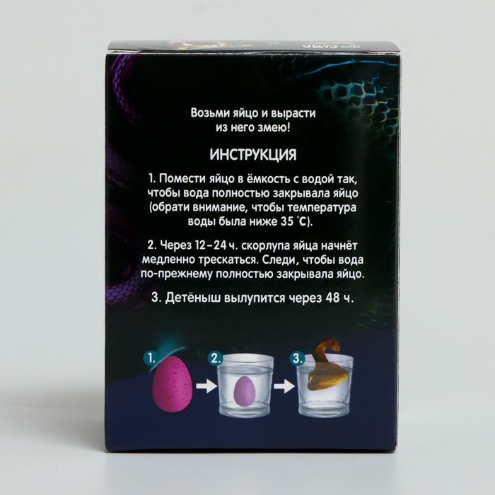 Набор для творчества. Вырасти своего питомца &laquo;Змея&raquo;