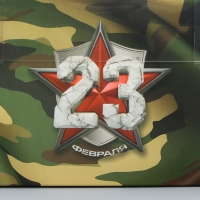 Коробка для капкейка, кондитерская упаковка, 4 ячейки, &laquo;Для моего мужчины&raquo;, 23 февраля, 16 х 16 х 10 см