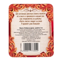 Монета сувенир &laquo;Рыбаку на удачу&raquo;, d=2 см.